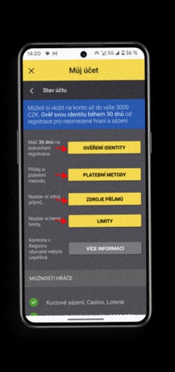 Fortuna mobilní web