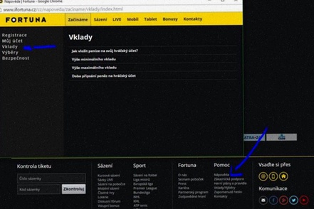 Fortuna Windows app